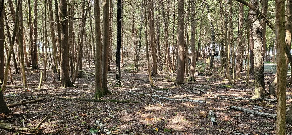 Bay Shore Dr, Sturgeon Bay, Wisconsin 54235, ,Unimproved Land,For Sale,Bay Shore Dr,144538