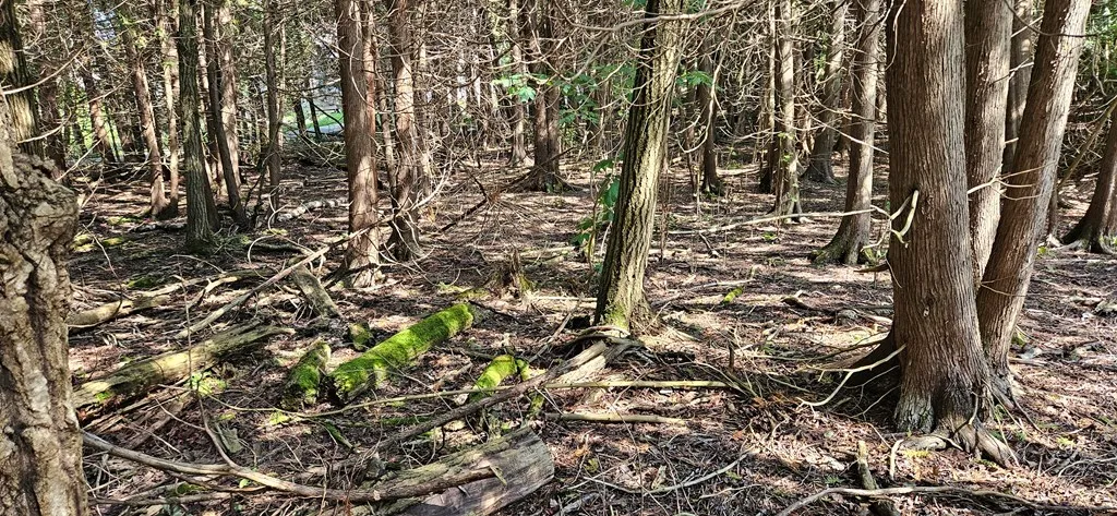 Bay Shore Dr, Sturgeon Bay, Wisconsin 54235, ,Unimproved Land,For Sale,Bay Shore Dr,144538