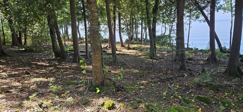 Bay Shore Dr, Sturgeon Bay, Wisconsin 54235, ,Unimproved Land,For Sale,Bay Shore Dr,144538