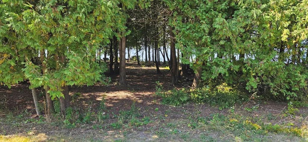 Bay Shore Dr, Sturgeon Bay, Wisconsin 54235, ,Unimproved Land,For Sale,Bay Shore Dr,144538