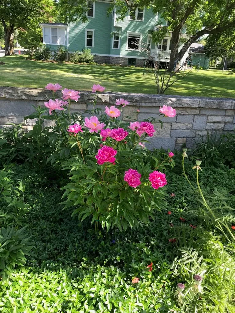 806 Memorial Dr, Sturgeon Bay Wi 54235, 4 Bedrooms Bedrooms, ,3 BathroomsBathrooms,Waterfront-Residential,For Sale,Memorial Dr,141689