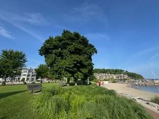 2363 Mill Rd, Sister Bay Wi 54234, ,1 BathroomBathrooms,Commercial,For Sale,Mill Rd,143709