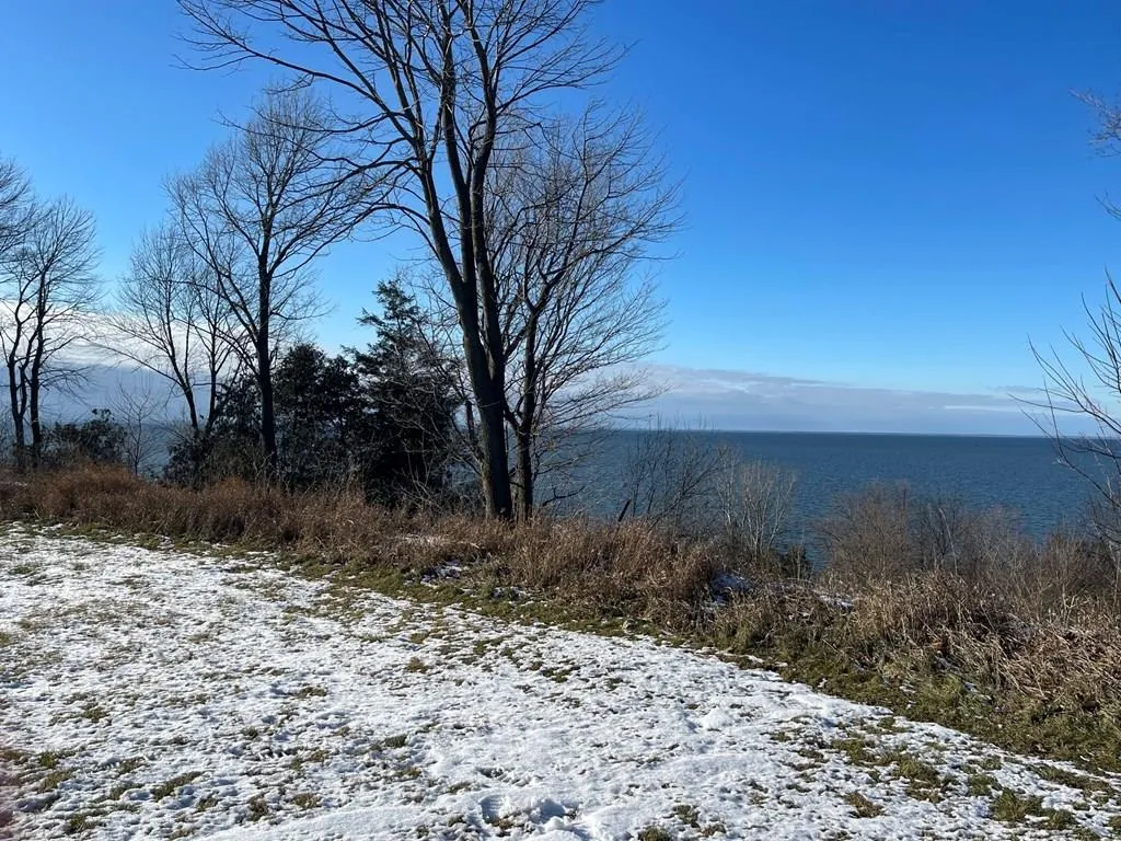 County Rd N, Brussels Wi 54204, ,Unimproved Land,For Sale,County Rd N,141228