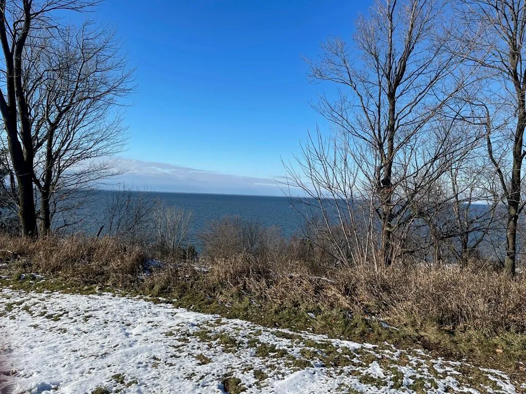 County Rd N, Brussels Wi 54204, ,Unimproved Land,For Sale,County Rd N,141228
