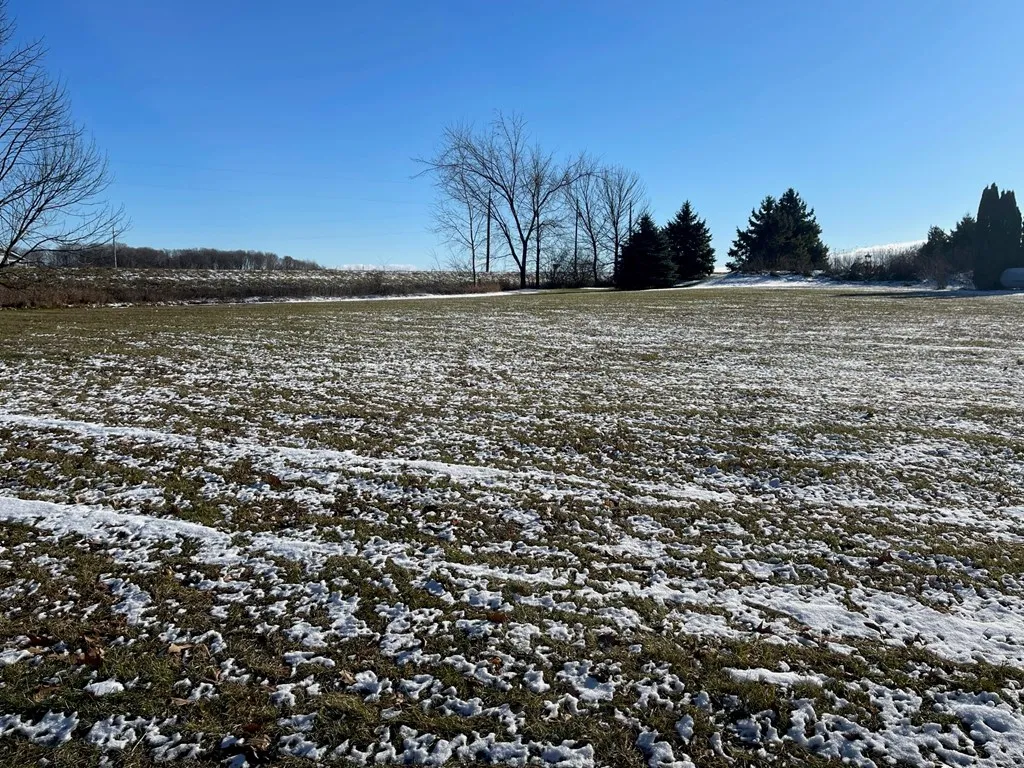 County Rd N, Brussels Wi 54204, ,Unimproved Land,For Sale,County Rd N,141228