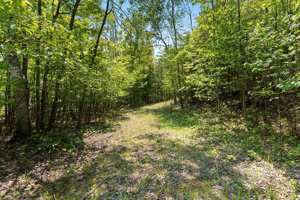 810 Wisconsin Bay Rd, Ellison Bay, Wisconsin 54210, ,Unimproved Land,For Sale,Wisconsin Bay Rd,144061