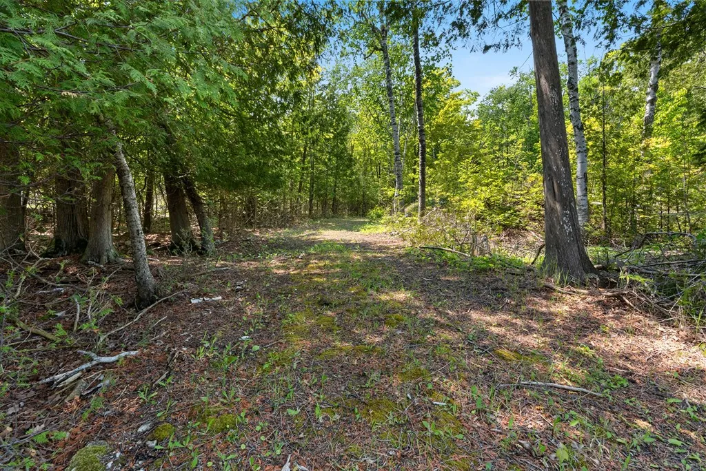 810 Wisconsin Bay Rd, Ellison Bay, Wisconsin 54210, ,Unimproved Land,For Sale,Wisconsin Bay Rd,144061