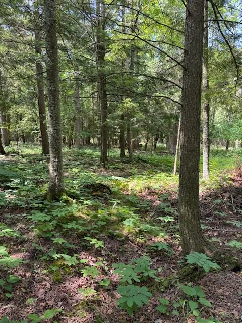 Tbd Europe Lake Ln, Ellison Bay, Wisconsin 54210, ,Unimproved Land,For Sale,Europe Lake Ln,144363
