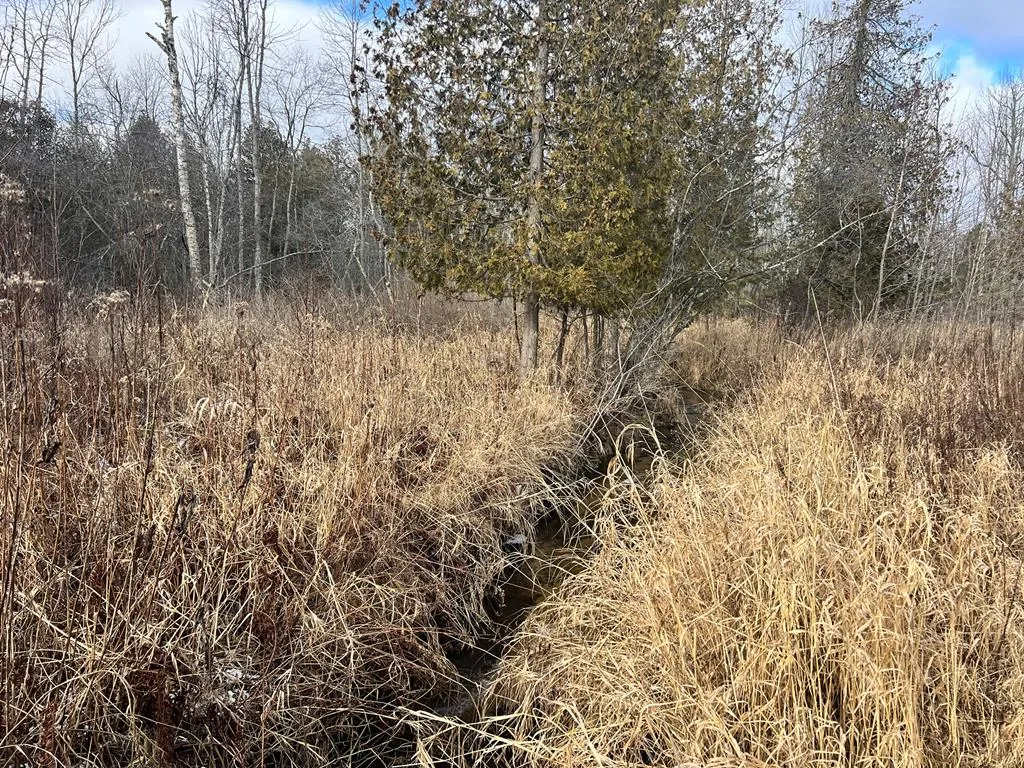 Lake Forest Park Rd, Sturgeon Bay Wi 54235, ,Unimproved Land,For Sale,Lake Forest Park Rd,141287