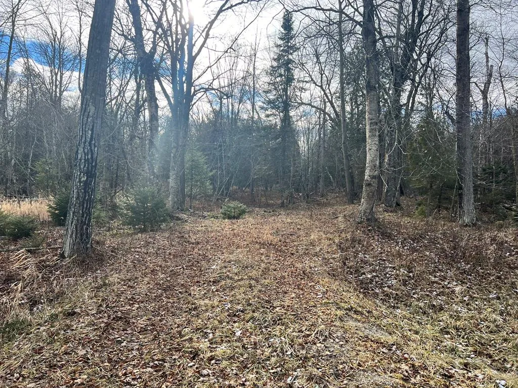 Lake Forest Park Rd, Sturgeon Bay Wi 54235, ,Unimproved Land,For Sale,Lake Forest Park Rd,141287