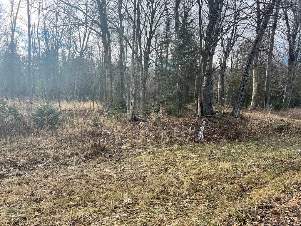 Lake Forest Park Rd, Sturgeon Bay Wi 54235, ,Unimproved Land,For Sale,Lake Forest Park Rd,141287