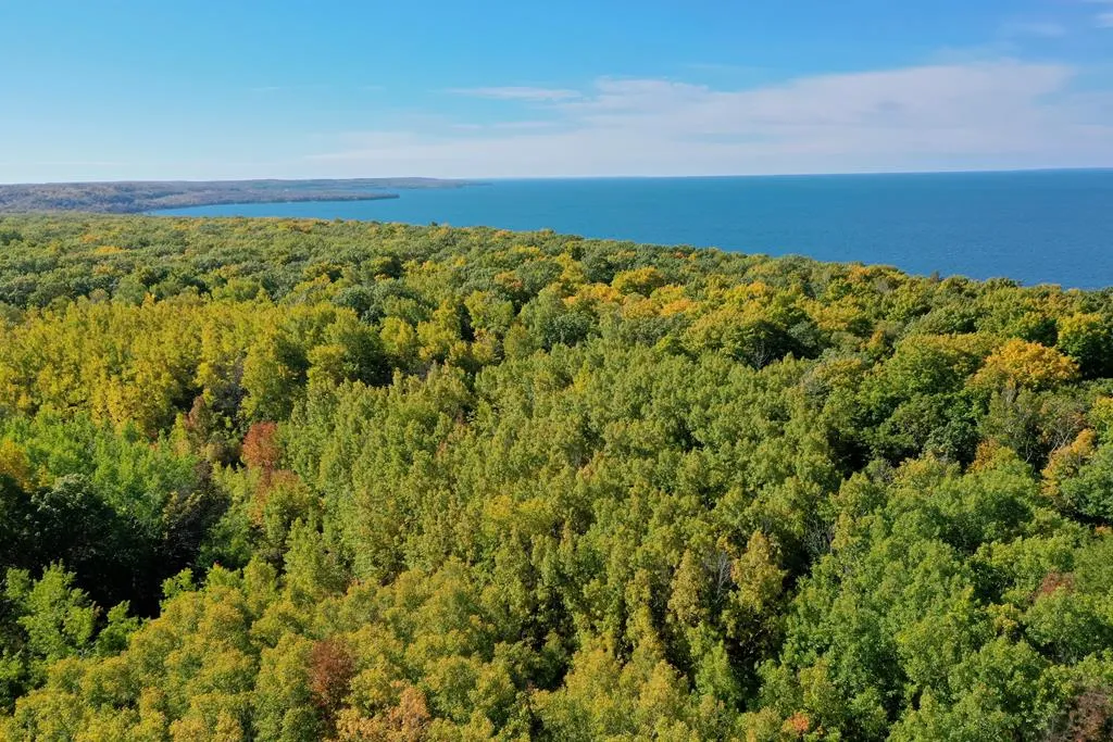 Gibraltar Bluff Rd
