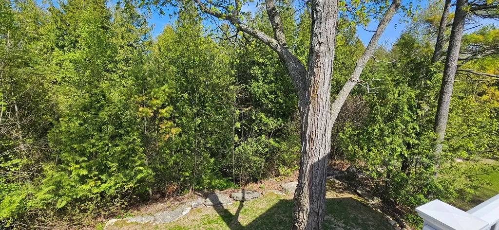 2428 Pine Bluff Court # 802, Baileys Harbor, Wisconsin 54202, 3 Bedrooms Bedrooms, ,3 BathroomsBathrooms,Condominium,For Sale,Pine Bluff Court,143961