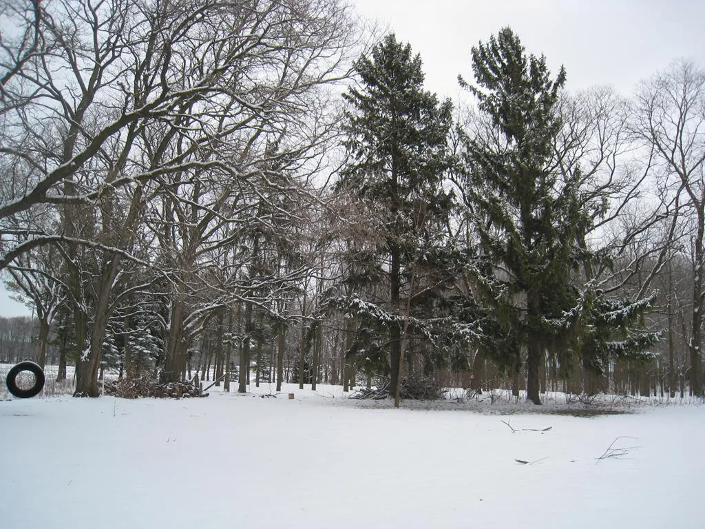 1450 County Hwy C, Brussels Wi 54204, 2 Bedrooms Bedrooms, ,2 BathroomsBathrooms,Inland-Residential,For Sale,County Hwy C,141489