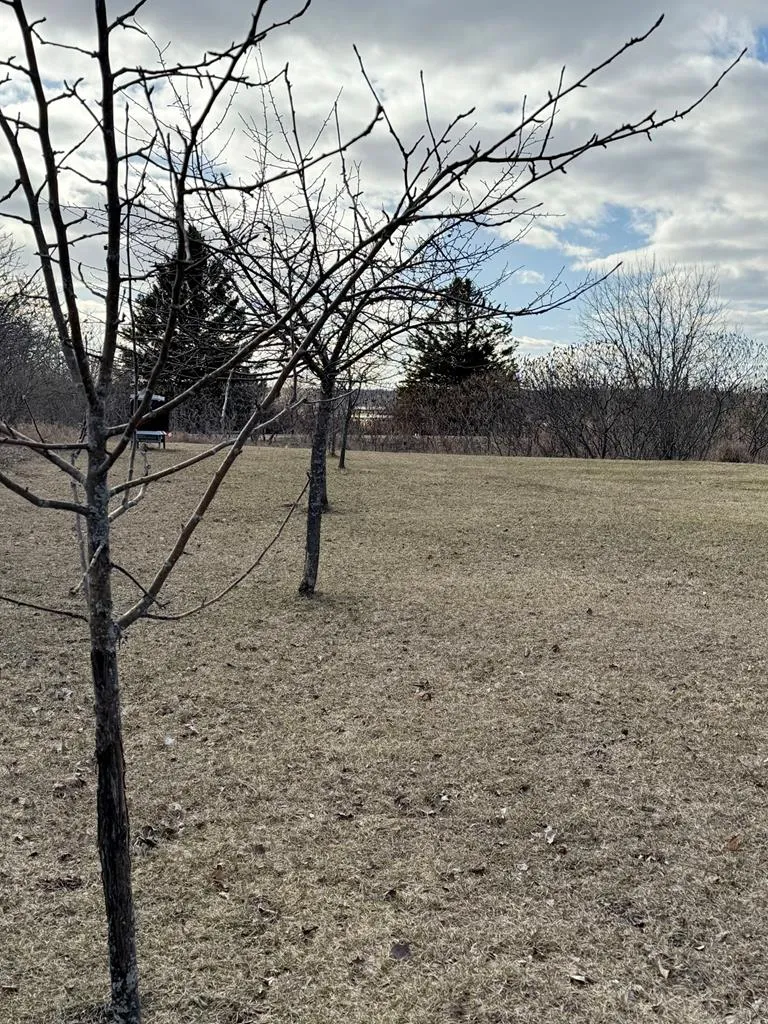 4081 Valley View Tr, Sturgeon Bay Wi 54235, 3 Bedrooms Bedrooms, ,3 BathroomsBathrooms,Inland-Residential,For Sale,Valley View Tr,141485