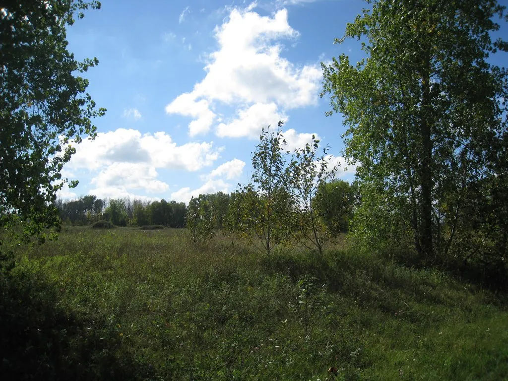 Lot 5 N Summerset Cr, Sturgeon Bay Wi 54235, ,Unimproved Land,For Sale,N Summerset Cr,141045