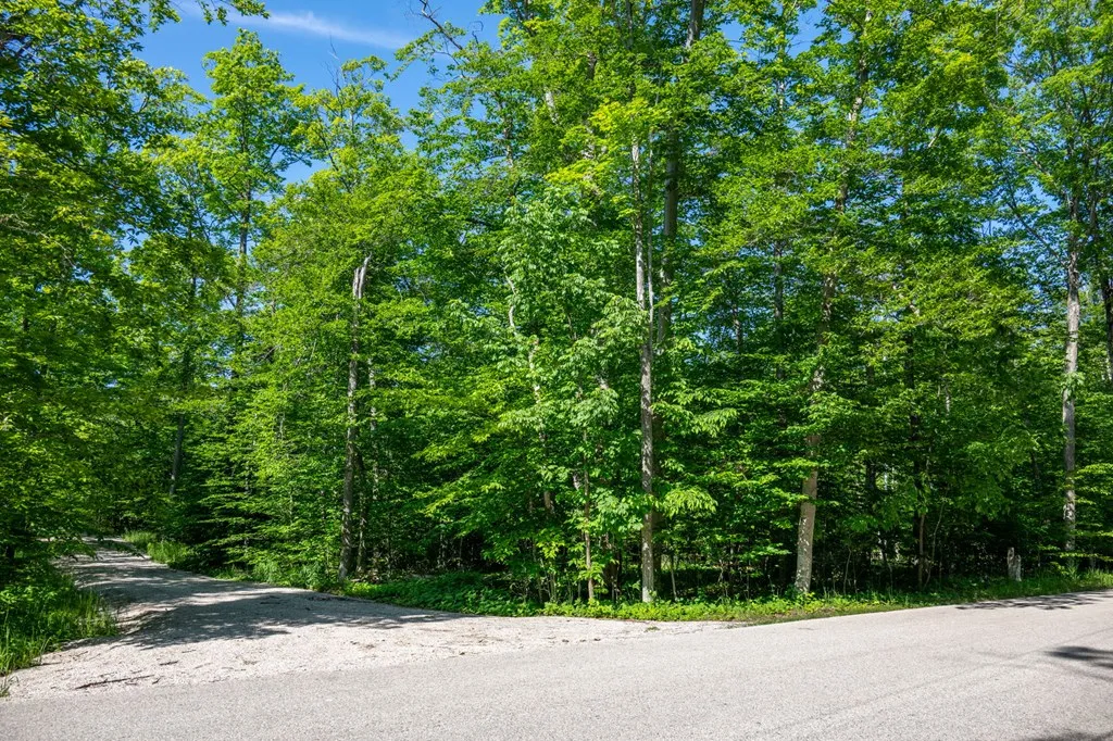 Lot 4 Isle View Rd, Ellison Bay, Wisconsin 54210, ,Unimproved Land,For Sale,Isle View Rd,144193