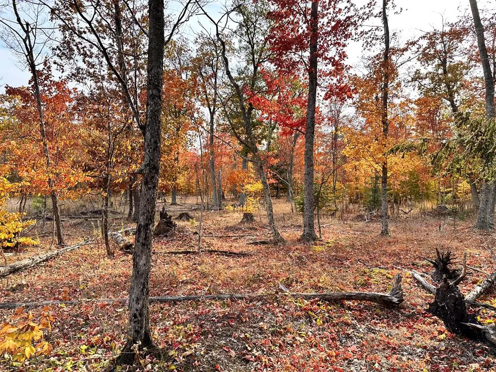 Lot 4 Isle View Rd, Ellison Bay, Wisconsin 54210, ,Unimproved Land,For Sale,Isle View Rd,144193