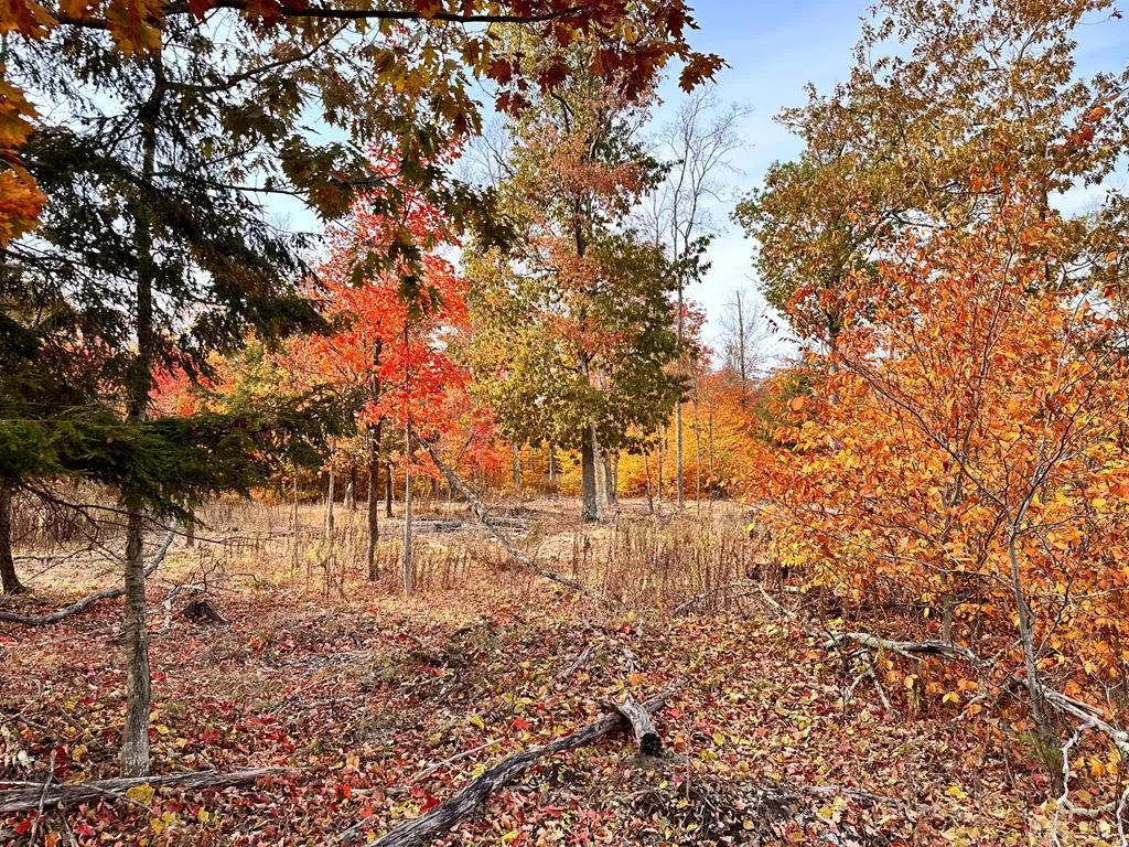 Lot 4 Isle View Rd, Ellison Bay, Wisconsin 54210, ,Unimproved Land,For Sale,Isle View Rd,144193