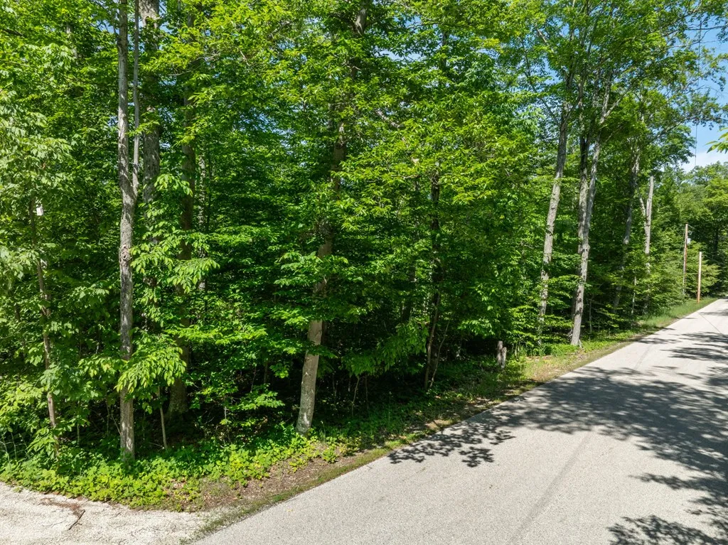 Lot 4 Isle View Rd, Ellison Bay, Wisconsin 54210, ,Unimproved Land,For Sale,Isle View Rd,144193