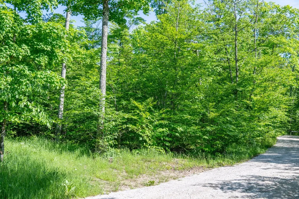 Lot 4 Isle View Rd, Ellison Bay, Wisconsin 54210, ,Unimproved Land,For Sale,Isle View Rd,144193