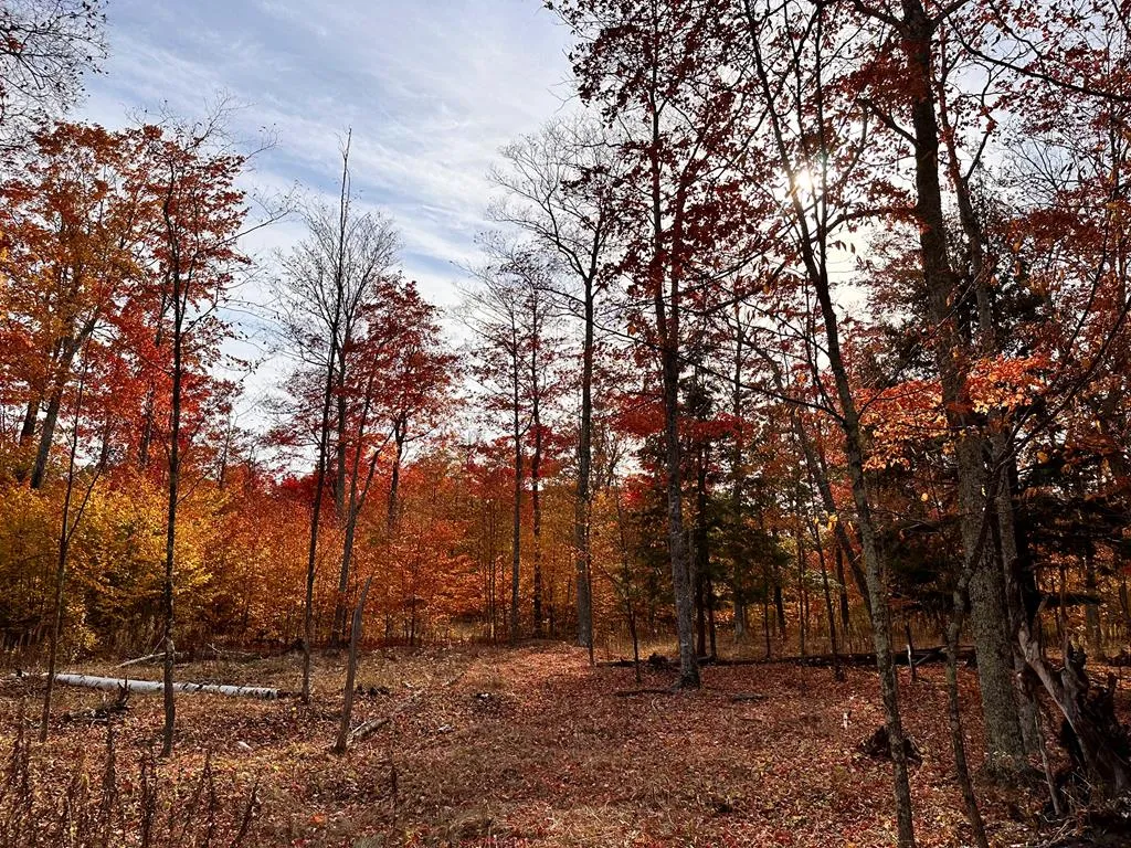 Lot 4 Isle View Rd, Ellison Bay, Wisconsin 54210, ,Unimproved Land,For Sale,Isle View Rd,144193