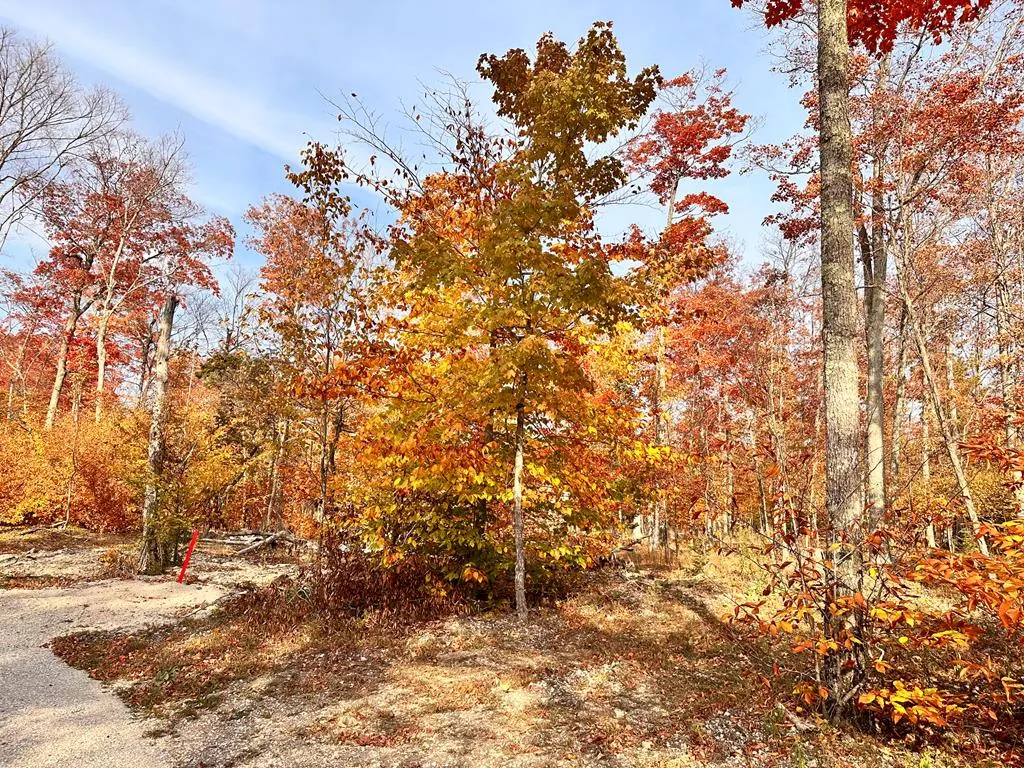 Lot 4 Isle View Rd, Ellison Bay, Wisconsin 54210, ,Unimproved Land,For Sale,Isle View Rd,144193