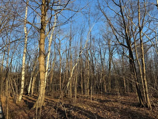 High Rd, Brussels Wi 54204, ,Unimproved Land,For Sale,High Rd,143547