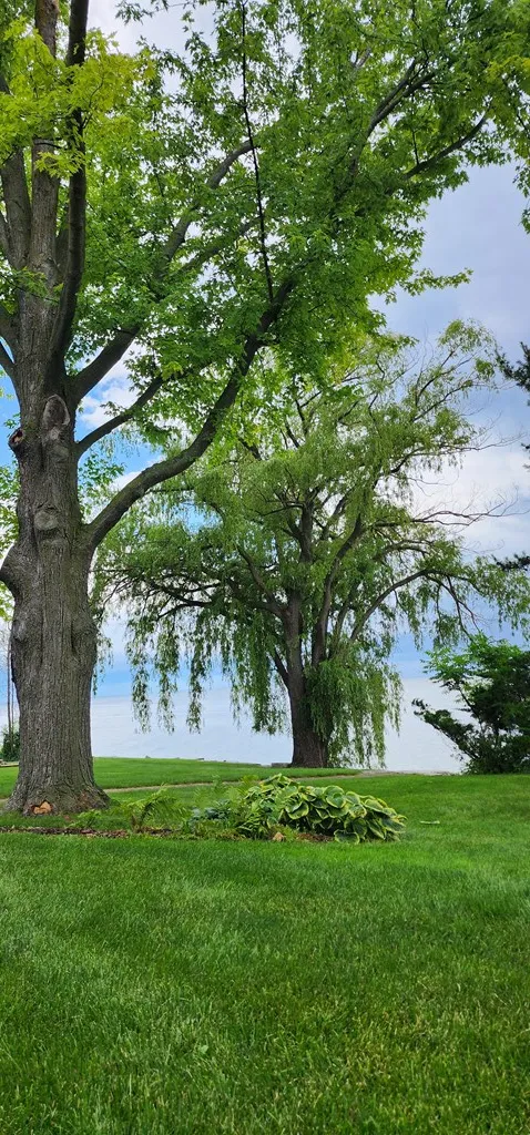 1461 N Bay Shore Dr, Brussels Wi 54204, 4 Bedrooms Bedrooms, ,4 BathroomsBathrooms,Waterfront-Residential,For Sale,N Bay Shore Rd,141817