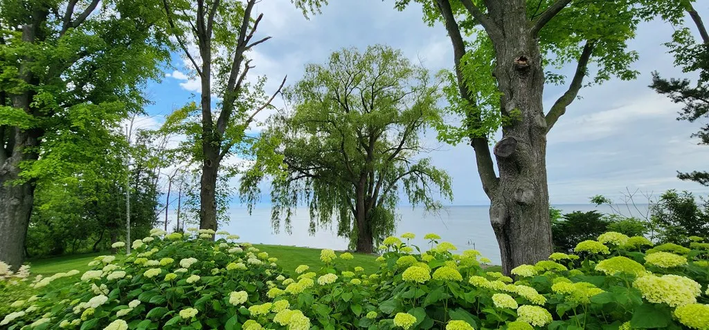 1461 N Bay Shore Dr, Brussels Wi 54204, 4 Bedrooms Bedrooms, ,4 BathroomsBathrooms,Waterfront-Residential,For Sale,N Bay Shore Rd,141817