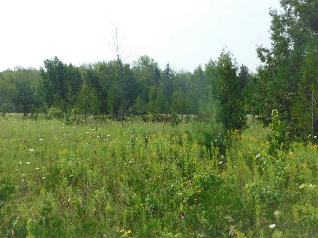 Lot 1 Hwy 42/57, Sturgeon Bay Wi 54235, ,Commercial,For Sale,Hwy 42/57,143225
