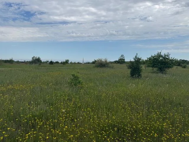 Tbd Waterview Ln, Town Of Liberty Grov, Wisconsin 54210, ,Unimproved Land,For Sale,Waterview Ln,144186