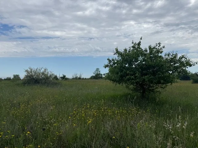 Tbd Waterview Ln, Town Of Liberty Grov, Wisconsin 54210, ,Unimproved Land,For Sale,Waterview Ln,144186