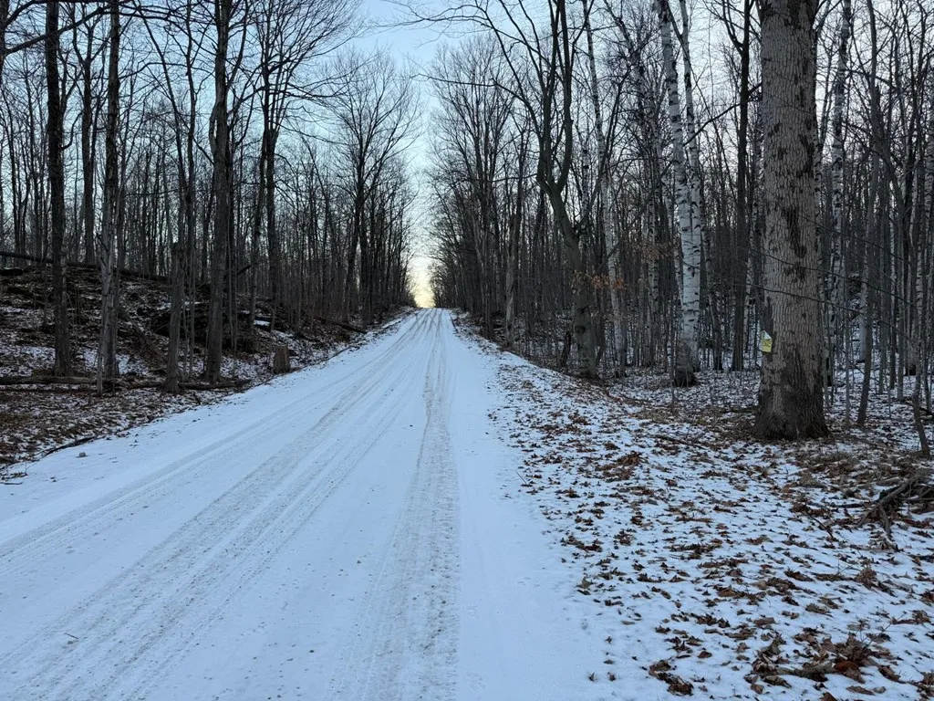 Orchard View Ln, Brussels Wi 54204, ,Unimproved Land,For Sale,Orchard View Ln,143548