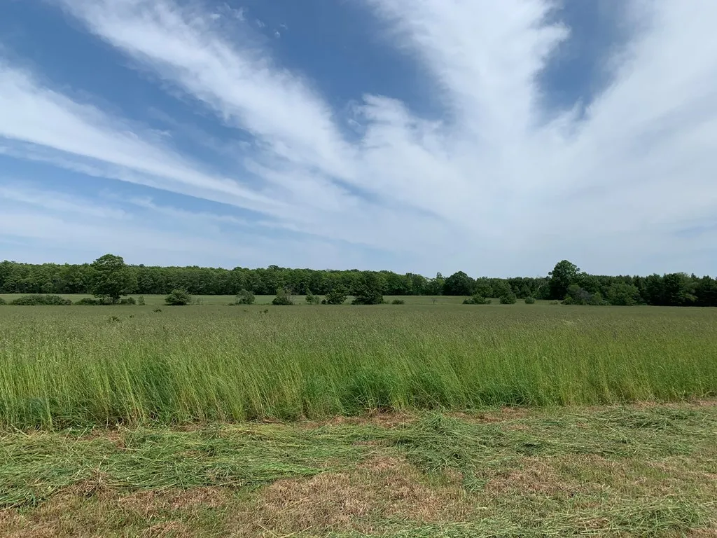 S Highland Rd, Fish Creek, Wisconsin 54212, ,Unimproved Land,For Sale,S Highland Rd,143453