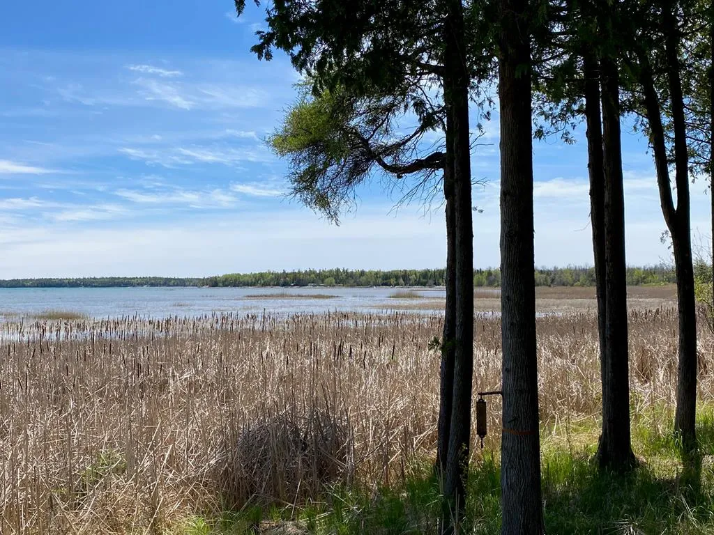 9806 Winding Ln, Baileys Harbor, Wisconsin 54202, 2 Bedrooms Bedrooms, ,1 BathroomBathrooms,Waterfront-Residential,For Sale,Winding Ln,143954