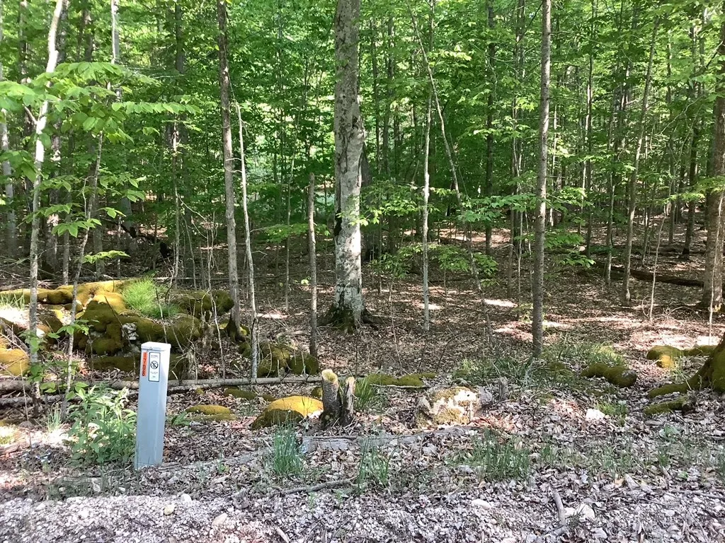 Tbd Bjarnarson Dr, Washington Island Wi 54246, ,Unimproved Land,For Sale,Johnson Ct,143880