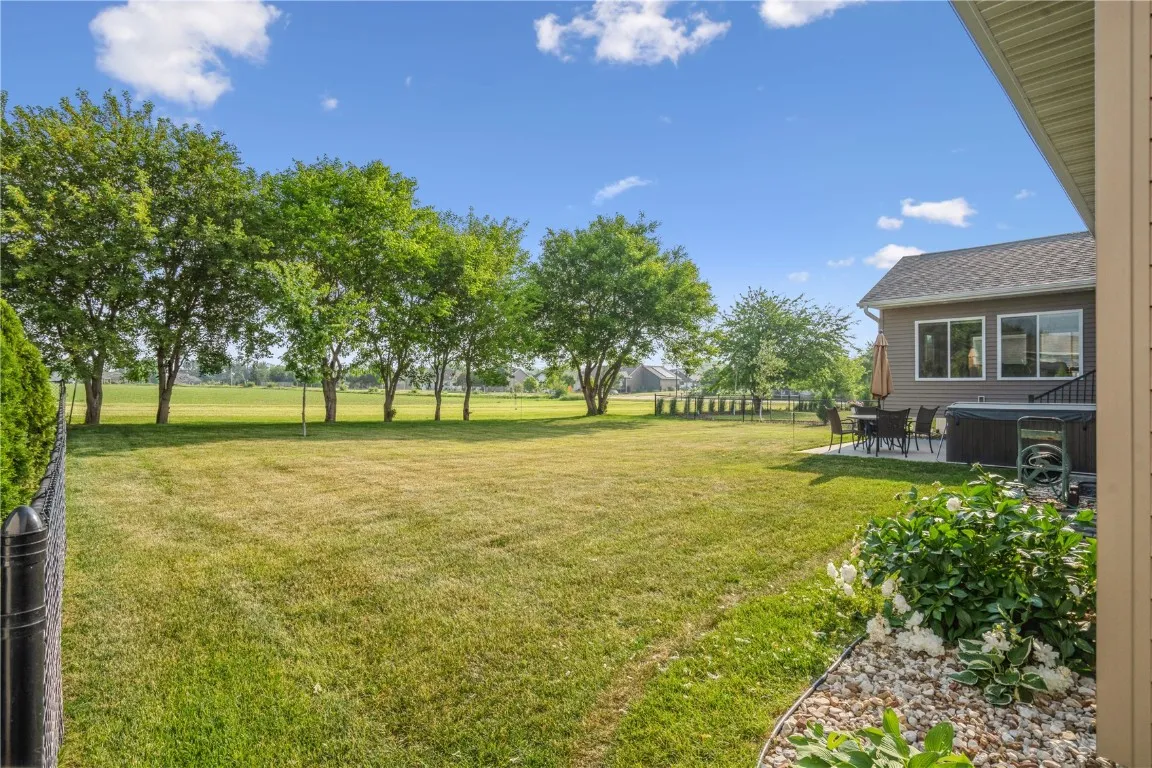 back yard