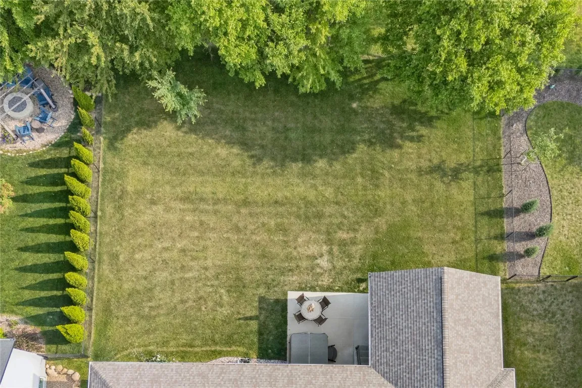 back yard, view of mature trees