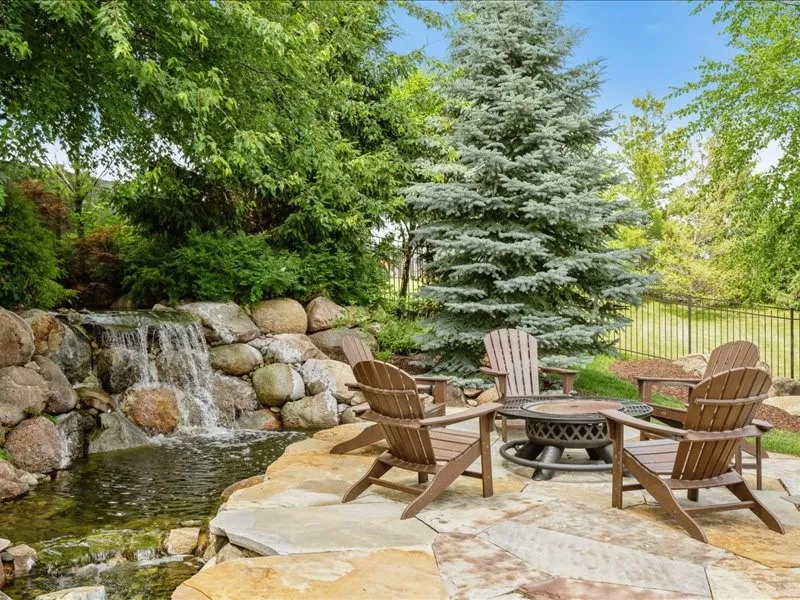 back yard