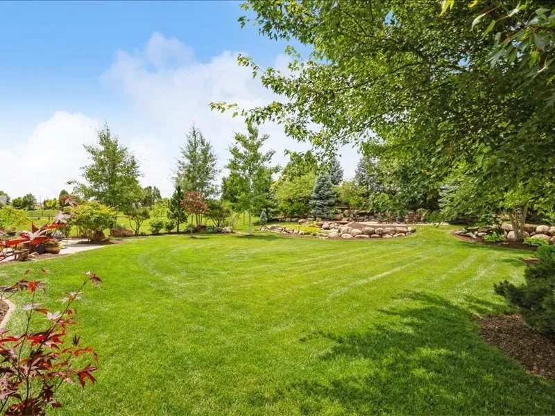 back yard