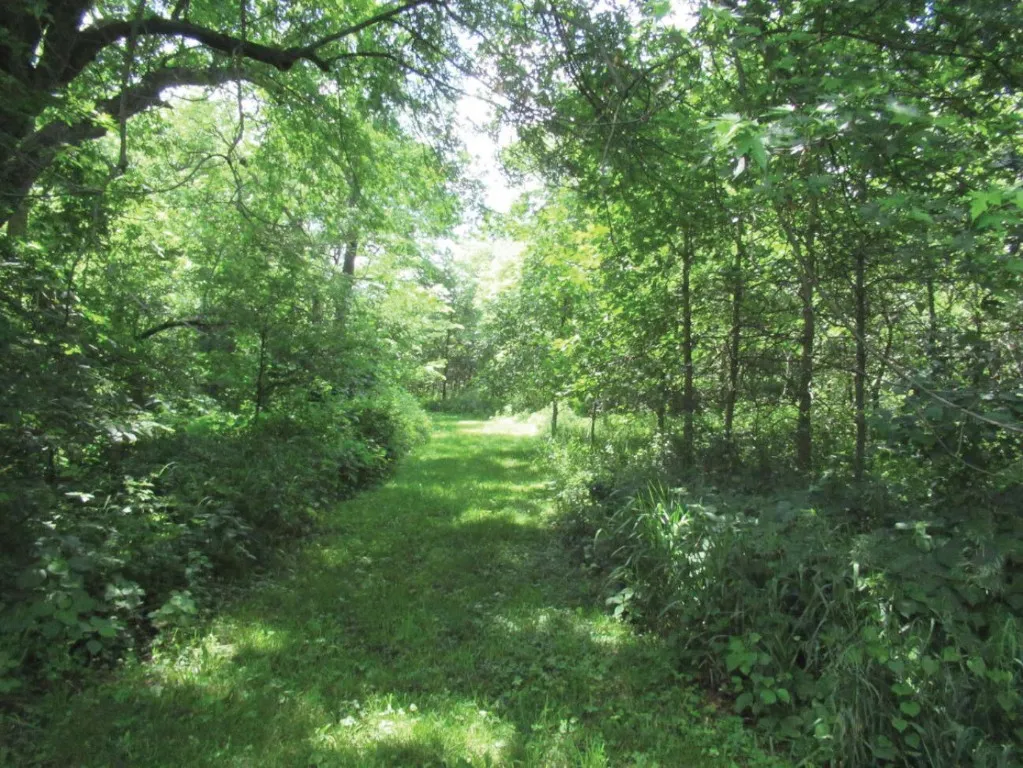 Mowed Trails