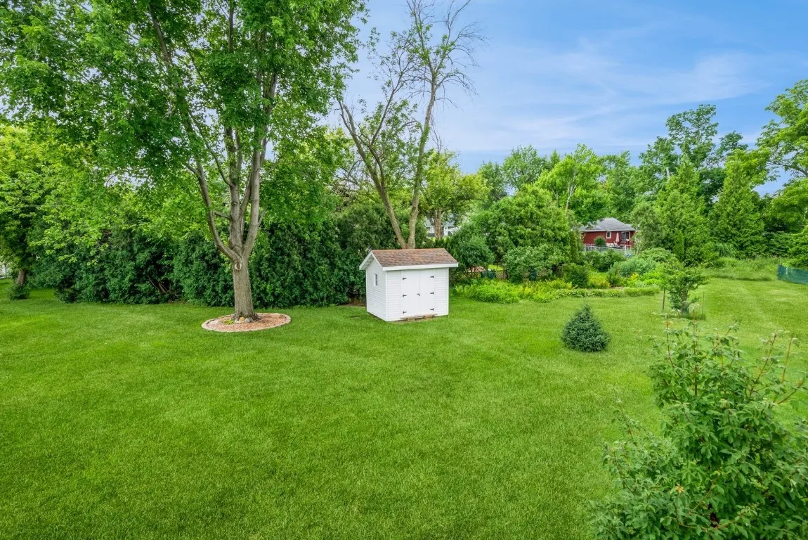 Yard and Shed