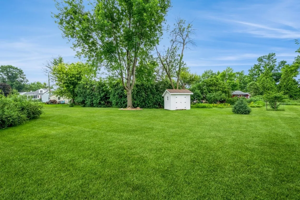 Yard and Shed