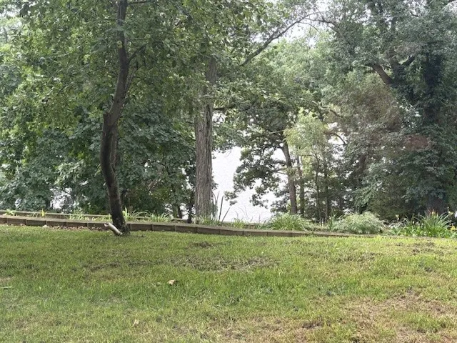 View from deck