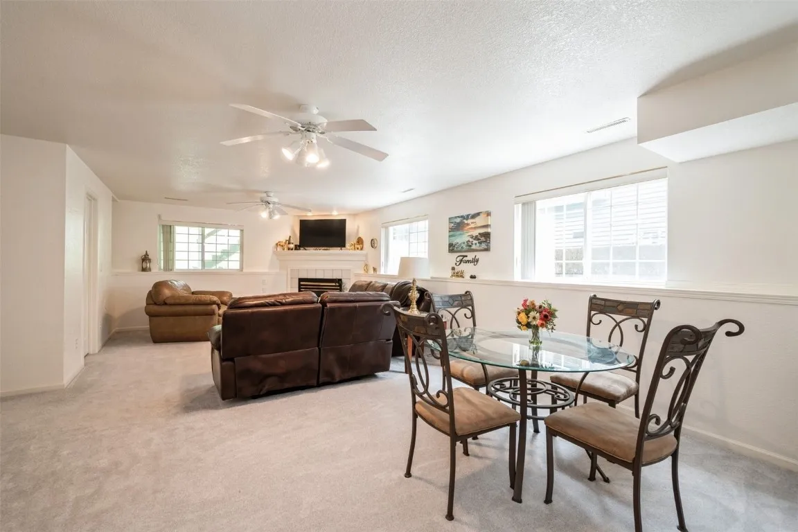 Lower level family room