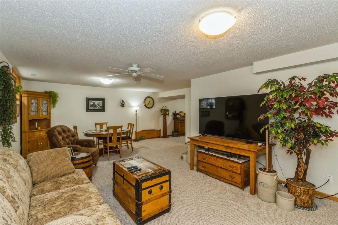 Lower Level Family Room/Rec Room