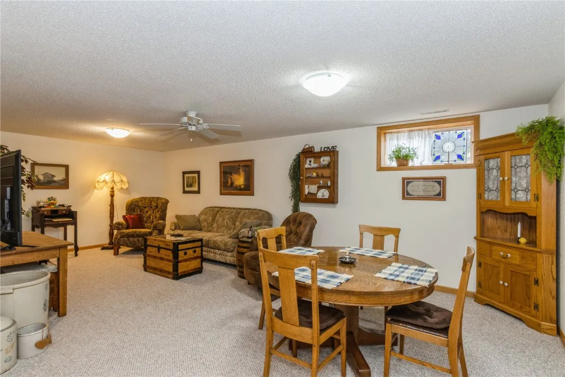 Lower Level Family Room/Rec Room