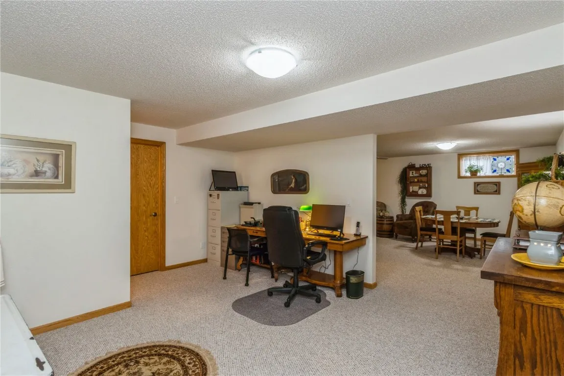 Lower Level Family Room/Rec Room
