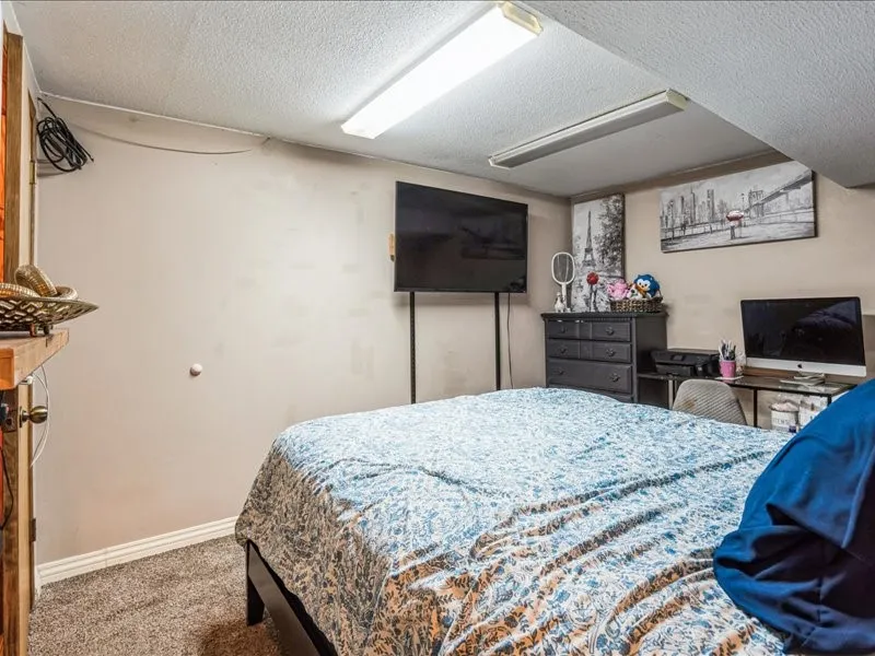 bedroom 4 - lower level